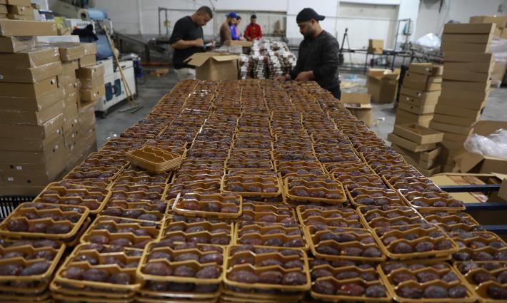 روما.. حركة المقاطعة تدين منع تصدير المنتجات الزراعية للأردن