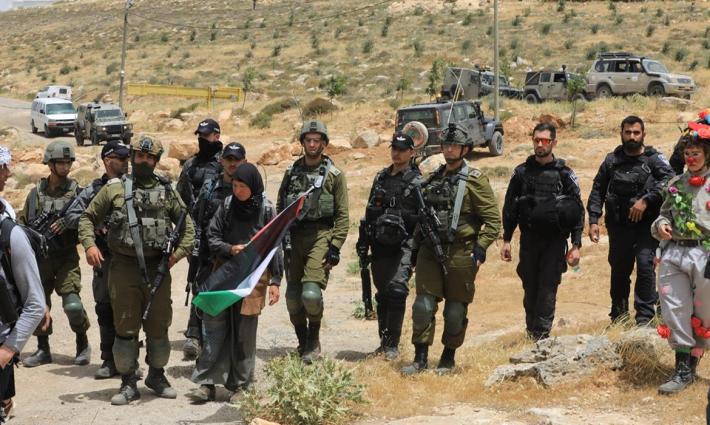 نشرة "أخبار مقاطعة"