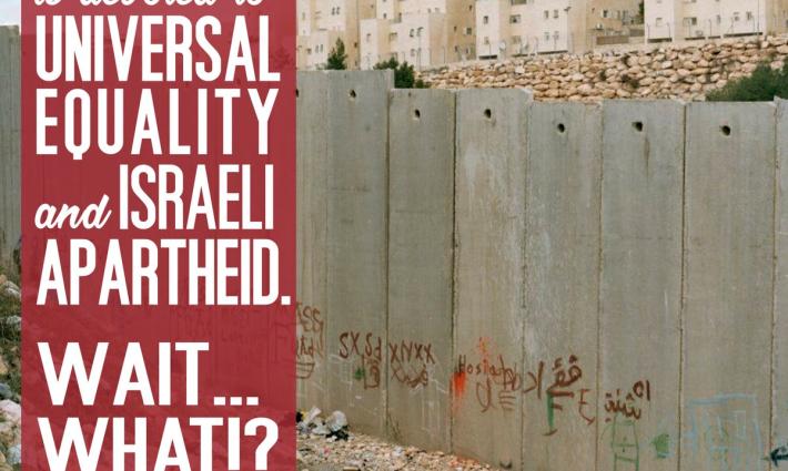 إيطاليا.. دعوات للمشاركة في اليوم العالمي ضد بوما