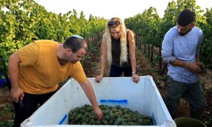 الأردن توقع اتفاقًا زراعيًا لسد نقص محاصيل متوقع لدى الاحتلال