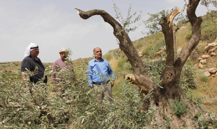 تشيلي.. الفدرالية الفلسطينية تدين اعتداءات المستوطنين على المزارعين الفلسطينيين