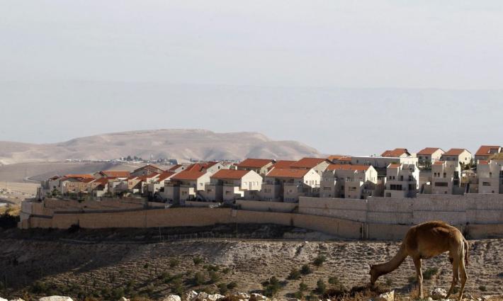 حركة التضامن الدولية تدين التوسع الاستيطاني في الخليل