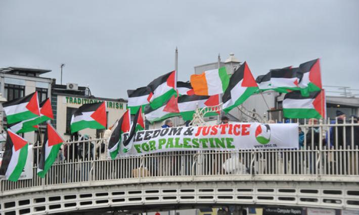 نشرة "أخبار مقاطعة"