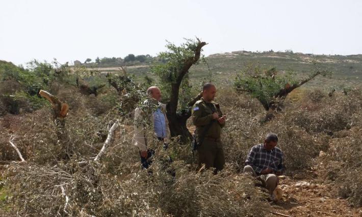 جنوب أفريقيا.. حركة المقاطعة تدين اعتداءات المستوطنين الإسرائيليين