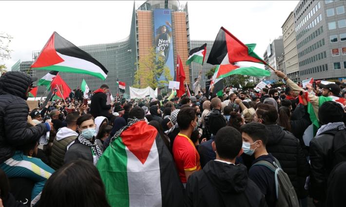 نشرة أخبار “مقاطعة”