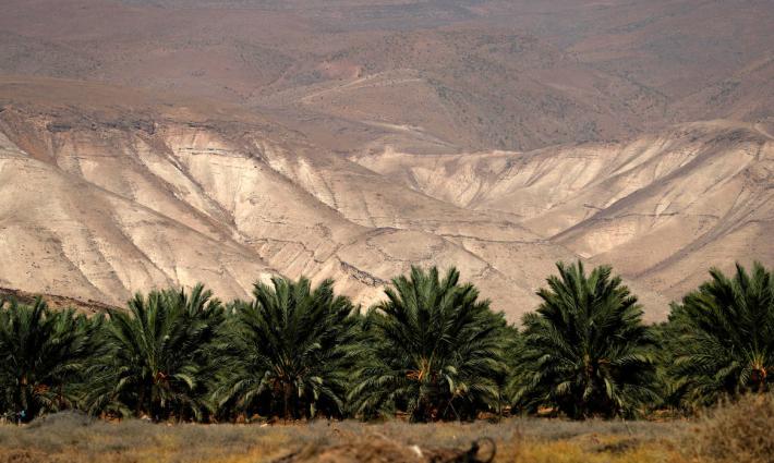 حملة أميركية تدين عزم الاحتلال إنشاء محميات طبيعية في الأراضي الفلسطينية