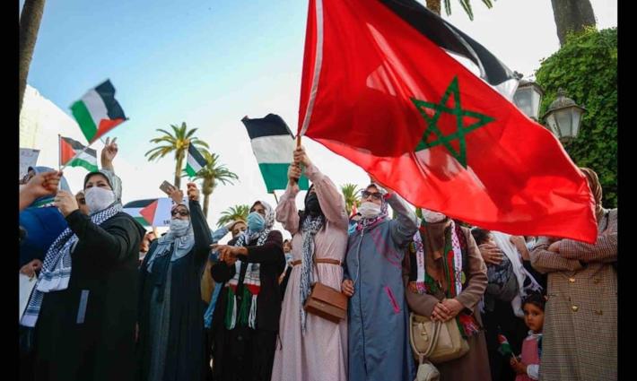 نشرة "أخبار مقاطعة"