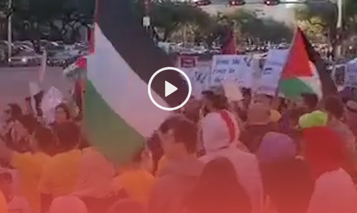 وقفة احتجاجية في ولاية تكساس الأميركية رفضاً لصفقة القرن