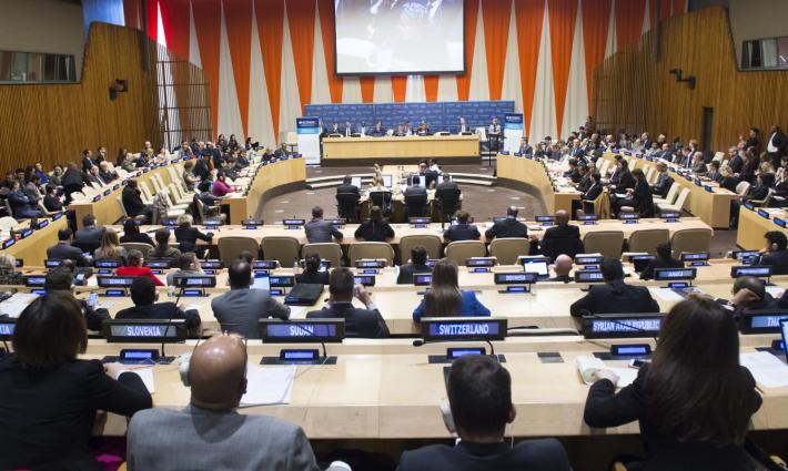 المجلس الاقتصادي والاجتماعي للأمم المتحدة يعتمد قرارين لصالح فلسطين