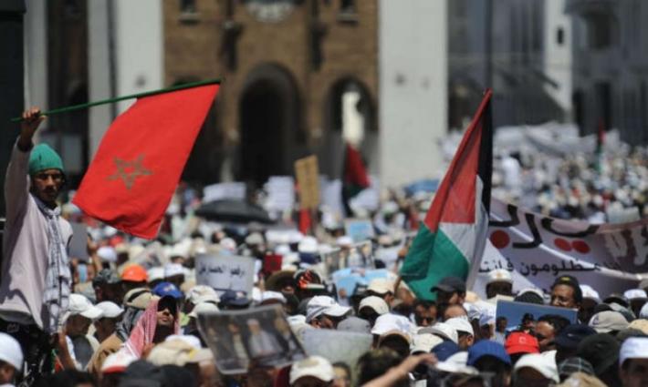 نشرة "أخبار مقاطعة"