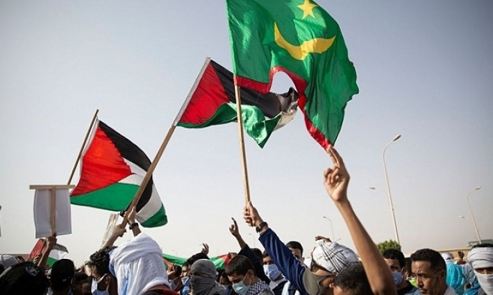 صورة تعبيرية