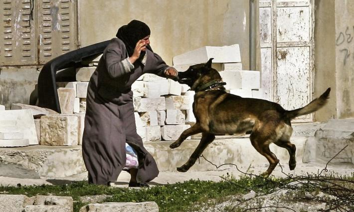 صورة تعبيرية