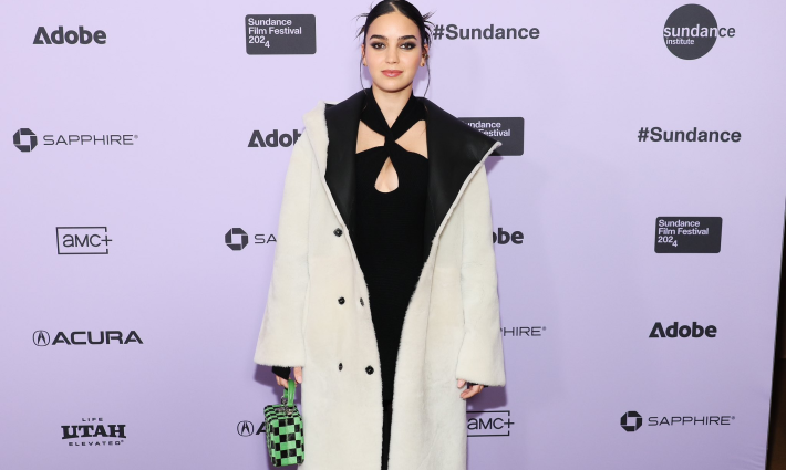 صورة الممثلة المكسيكية ميليسا باريرا