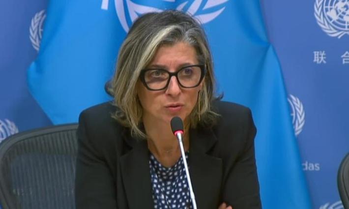 صورة المقررة الأممية, فرانشيسكا ألبانيز