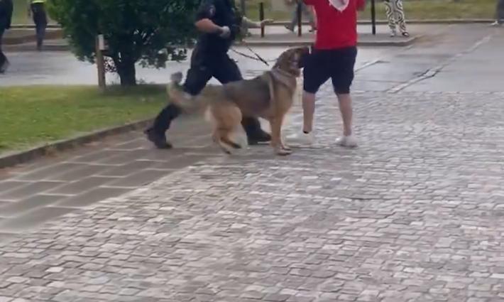 قمع الشرطة السويدية لطلاب الجامعة بالكلاب البوليسية