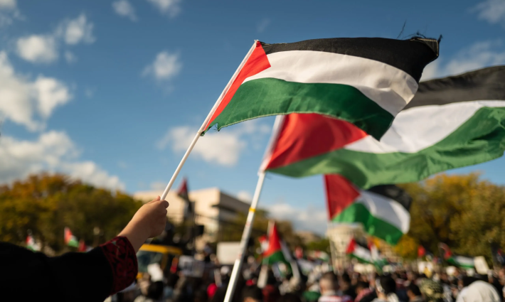 رفع علم فلسطين في مظاهرة تضامنية