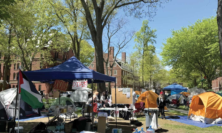 ضريبة دعم فلسطين..  هارفارد ترفض وساطة كلية الآداب لتخريج 13 طالبًا