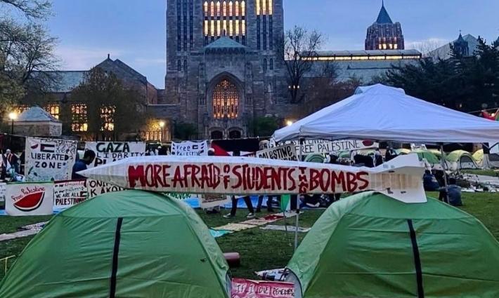 طلاب جامعة “ييل” يدشنون معرضًا لأسلحة الإبادة