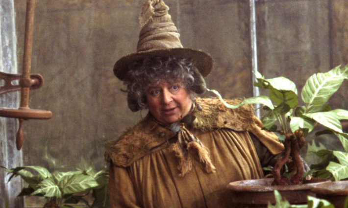 ميريام مارجوليس - أحد ممثلي سلسلة هاري بوتر