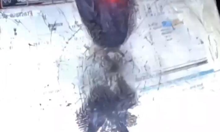 حركة فلسطين تستهدف مصنع للأسلحة