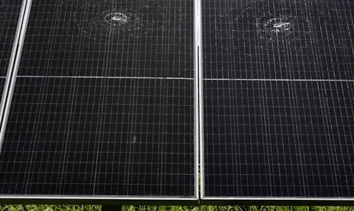 توجيه اتهامات لأردني في أمريكا بعد تهديده شركات لافتراض دعمها للاحتلال