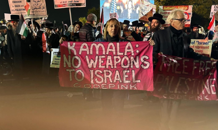 مظاهرة داعمة لفلسطين خارج تجمع هاريس