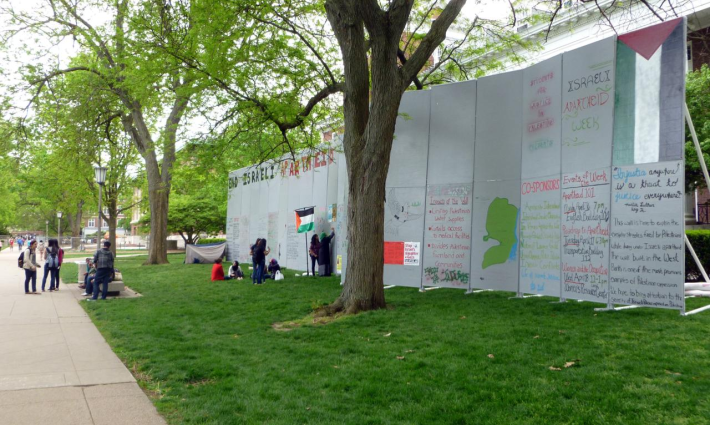 رسومات تضامنية في جامعة تولي