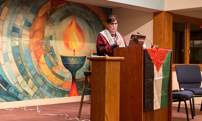 رباب عبد الهادي- أستاذة ومديرة برنامج دراسات العرقيات والشتات العربية والإسلامية في جامعة ولاية سان فرانسيسكو