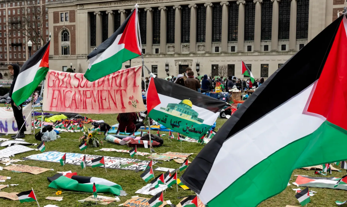 مخيم طلابي تضامني