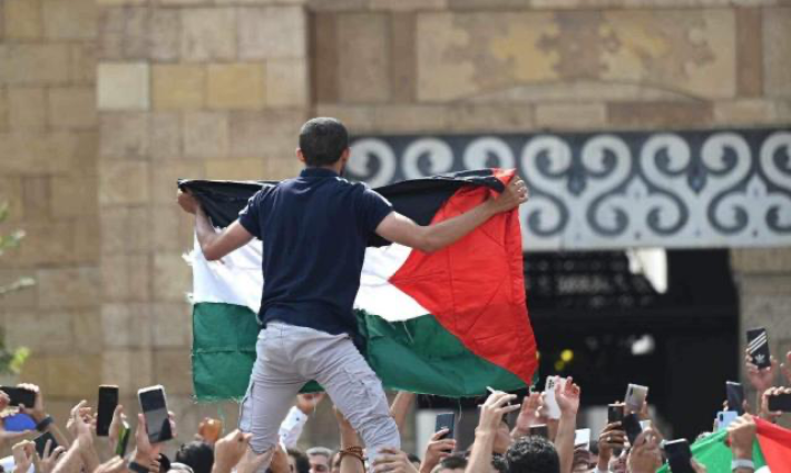 متظاهر يرفع علم فلسطين