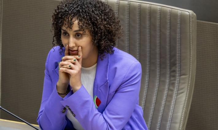 النائبة الفلمنكية نادية ناجي