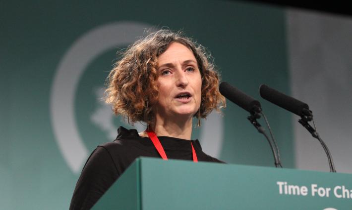 نائبة البرلمان الأوروبي لين بويلان