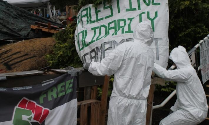 تعليق لافنة مؤيدة لفلسطين