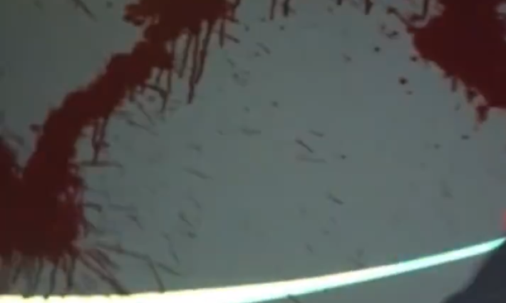 تلطيخ شركة تابعة لإلبيت بالطلاء الأحمر