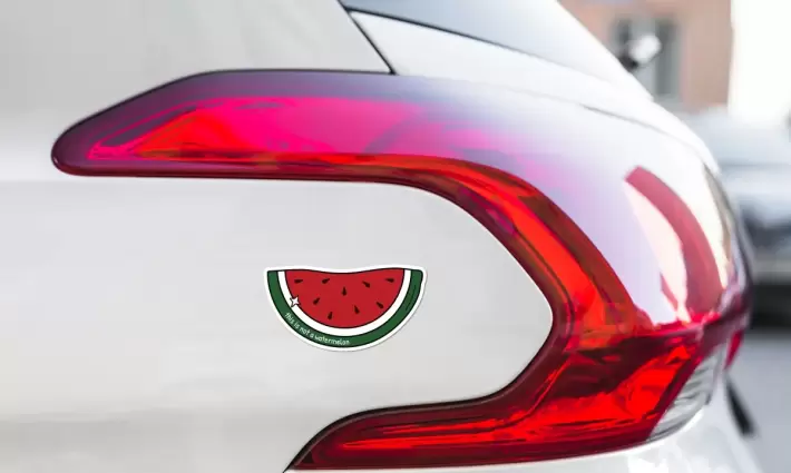 طالبة أمريكية تقاضي مدرستها لاستهدافها مظاهر دعمها لفلسطين