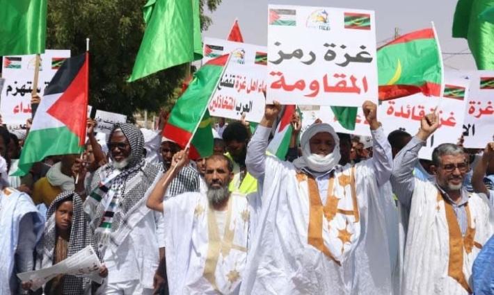 في موريتانيا.. الالآف يشاركون في مسيرة احتفاءً بوقف النار بغزة