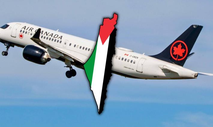 دبوس خارطة فلسطين.. الخطوط الجوية الكندية تحقق مع مضيفة طيران تضامنت مع فلسطين