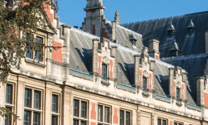 حركة التضامن