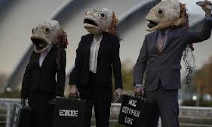 جماهير غلطة سراي تندد بالإبادة، ودعوات لإلغاء مباراة أستون فيلا مع “مكابي تل أبيب”..