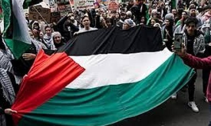 احتجاجات مستمرة أمام "كارفور " في فرنسا و "ماكدونالدز " و "برغر كينغ" بتركيا...نواب ونشطاء يتظاهرون دعمًا لقادة حركة التضامن ببريطانيا