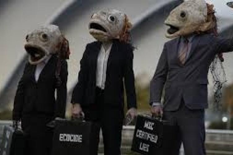 جماهير غلطة سراي تندد بالإبادة، ودعوات لإلغاء مباراة أستون فيلا مع “مكابي تل أبيب”..